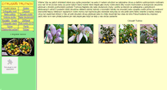 Desktop Screenshot of citrusy-trutnov.mstu.cz