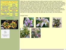 Tablet Screenshot of citrusy-trutnov.mstu.cz